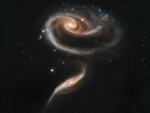 Rose Shaped Galaxy