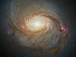 Spiral Galaxy