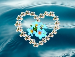 Plumeria Heart on Water