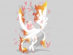 Fire Bird