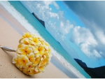 Hawaii Plumeria Bouquet on The Beach