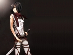 Mikasa Ackerman