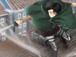 Levi