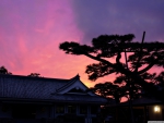 Twilight in Japan