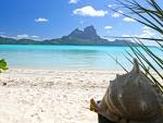 Perfect Blue Lagoon Ocean and Conch Shell on Bora Bora Paradise Island Tahiti