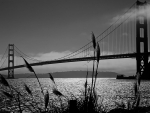 BRIDGE IN BLACK AND WHITE