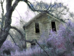 Creepy Old Farmhouse