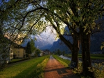 PEACEFUL ROAD IN THE ALPS