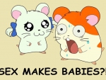 SEX MAKES BABYS,!?!?!?!