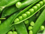 PEAS IN A POD
