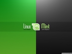 Linux - Mint2