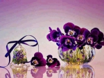 ~ violets ~