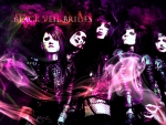 Black Veil Brides in a Purple Daze