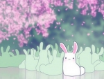 Cute Bunny Wallpaper