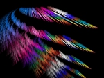 Colorful Feathers