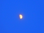 Half Moon