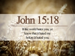 John 15:18