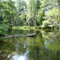 Krutynia River in Poland