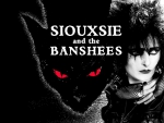 Siouxsie Sioux~Original Queen of Goth ;)