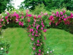 An Arch of Roses
