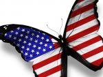 Patriotic Butterfly