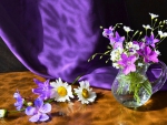Purple still life