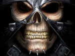 SKULL WARRIOR