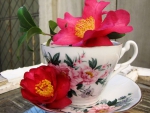 Cup and roses