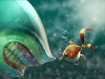 Shark & GoldFish