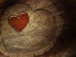 Sap Heart Over Wooden Heart