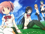 madoka and frends sed