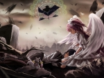 serius madoka batle