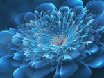 blue flower