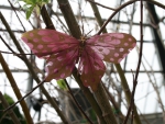 Giant Butterfly at the garden