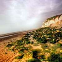wonderful beach with a green line of moss