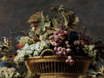 BASKET OF GRAPES