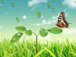 ~Butterfly~