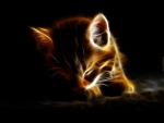 ~Glowing Cat~