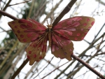 A giant pink butterfly at the garden