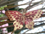 A giant red butterfly at the garden