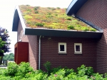 Green roof