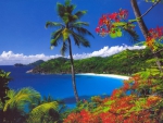 Seychelles dream