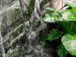 WALL WATERFALL ONTO LEAVES