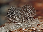 WAVES OF ICE CRYSTALS