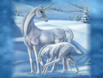 Unicorn-Frost