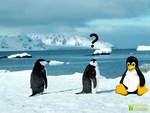 Linux Confusion