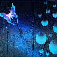 Bubble Blue Butterfly