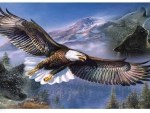 where eagles fly