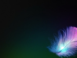 ~Rainbow Feather~