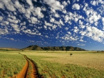 ~Namib Desert~